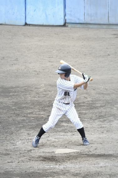 新入団選手のお知らせ
